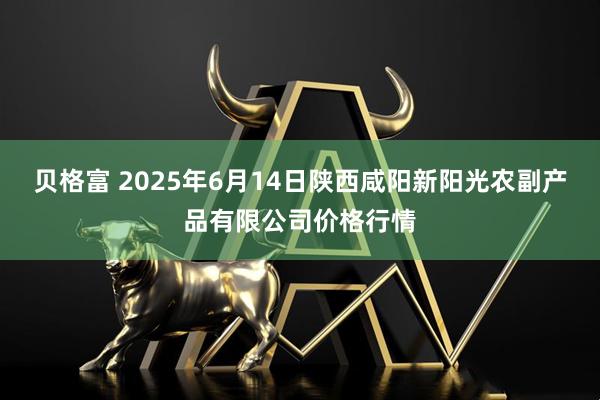 贝格富 2025年6月14日陕西咸阳新阳光农副产品有限公司价格行情