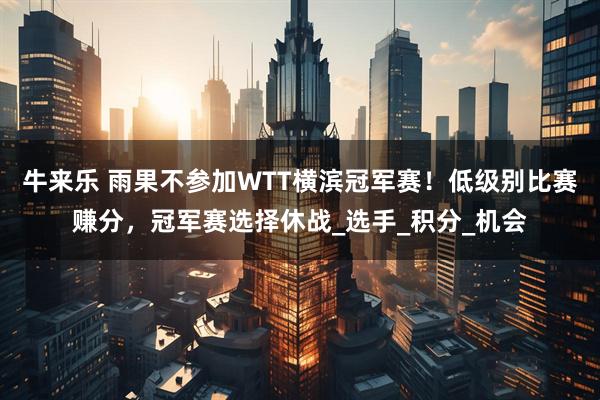 牛来乐 雨果不参加WTT横滨冠军赛！低级别比赛赚分，冠军赛选择休战_选手_积分_机会