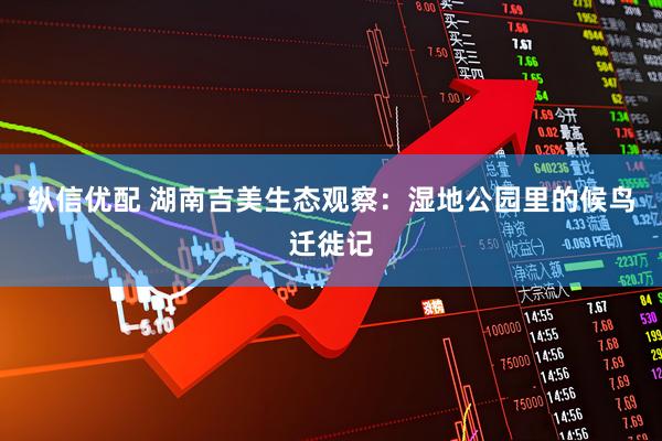 纵信优配 湖南吉美生态观察：湿地公园里的候鸟迁徙记