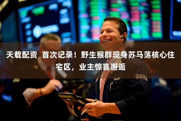 天载配资  首次记录！野生猴群现身苏马荡核心住宅区，业主惊喜邂逅