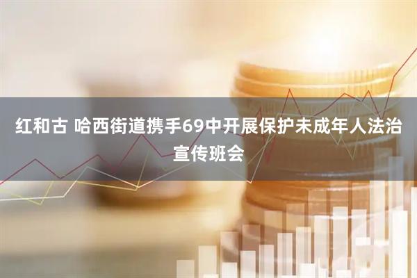 红和古 哈西街道携手69中开展保护未成年人法治宣传班会