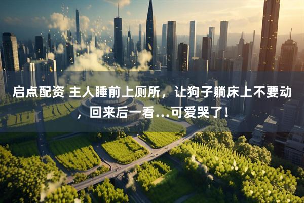 启点配资 主人睡前上厕所，让狗子躺床上不要动，回来后一看…可爱哭了！